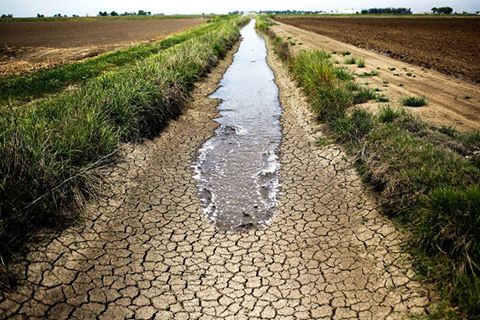 ca-water-crisis-11-2016